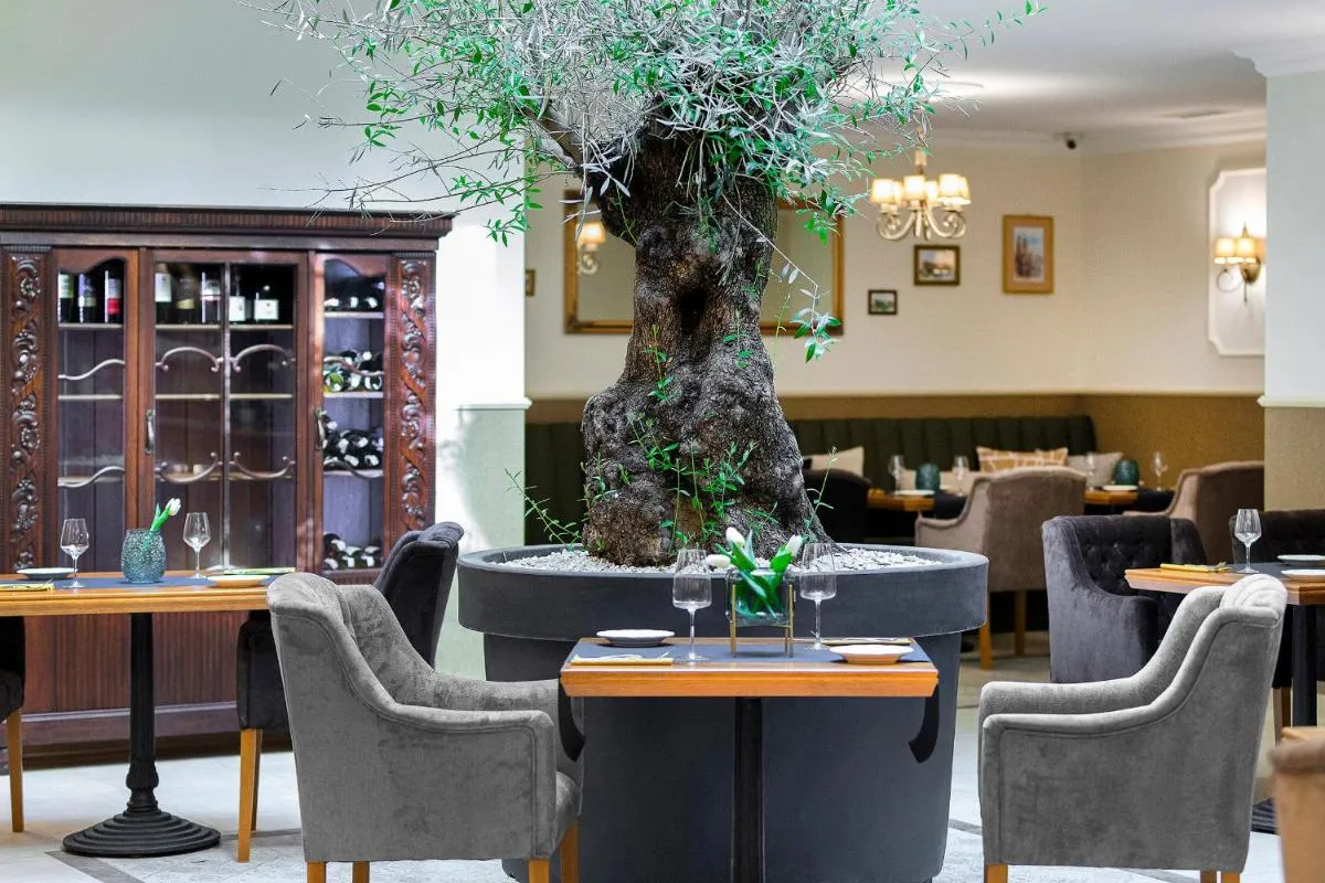 Image 3 of Ventus Rosa Boutique Aparthotel