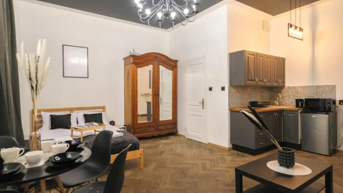Image 3 of Dark old city apartment
