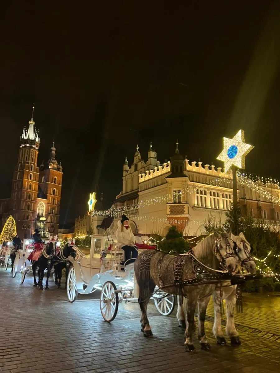 Image 1 of Luxury Apartment downtown Kraków