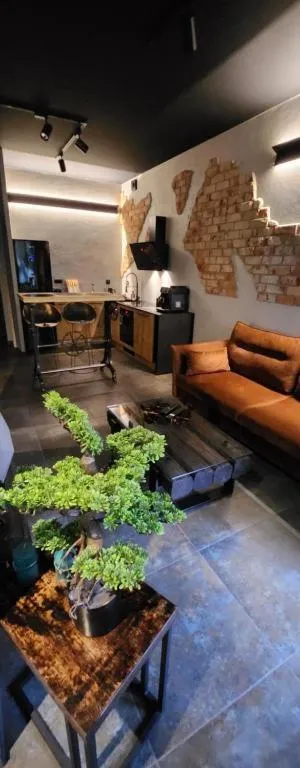 Image 3 of Luxury Old Town Apartments , gym, hammock free parking!