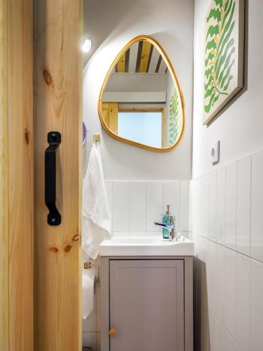 Image 4 of Crocus narrow studio / Kochanowskiego
