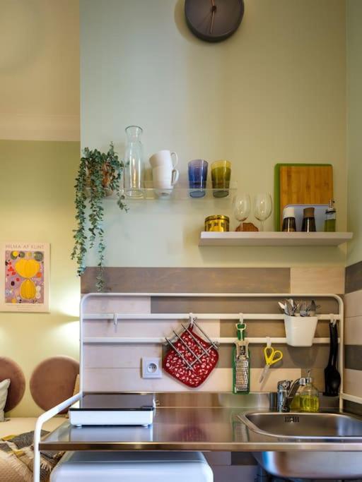 Image 6 of Crocus narrow studio / Kochanowskiego